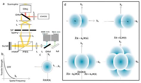 Super-Resolution Structured Illumination Microscopy for the ...