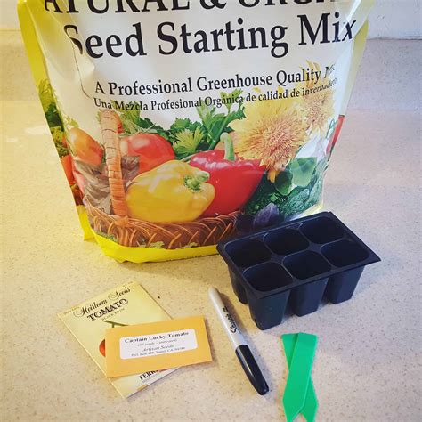 Must Have Supplies For Seed Starting - You Should Grow
