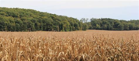 Human Resources | Madison County, VA