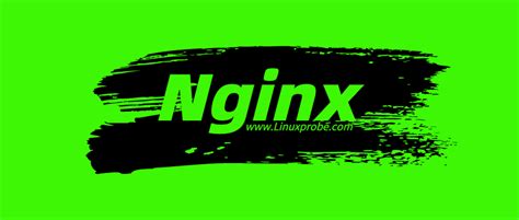 Nginx 的图像结果