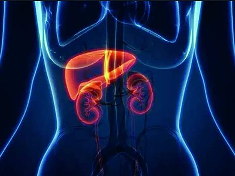 Mirrorlights: Scientists identify new liver and kidney disease