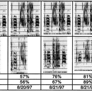 Image result for Example of Musical Imitation