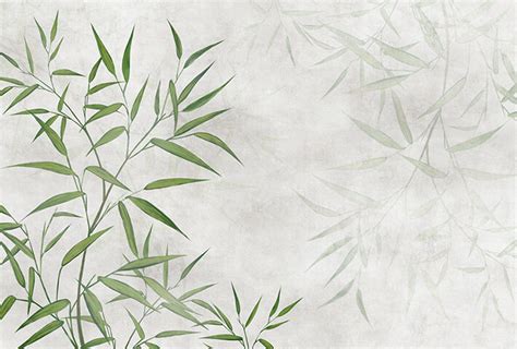 Shop Wallpaper for Wall Online - 3 Year Color Warranty