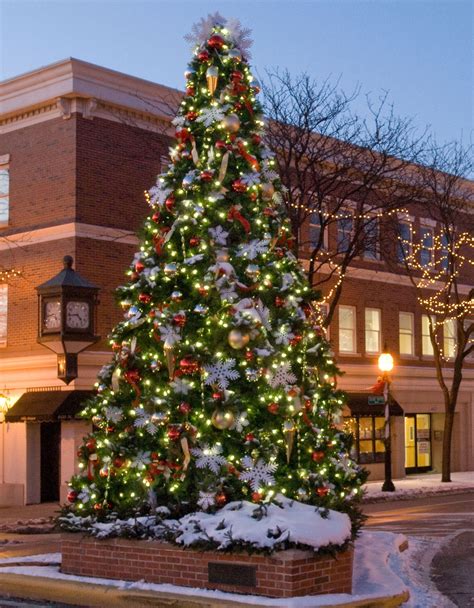 Giant Everest Fir Christmas Tree with LED lights - 41' Giant Everest ...