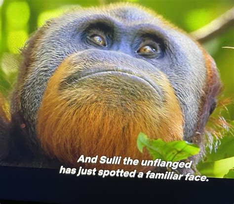 Down Syndrome Monkey Man Spoke To Apes In Their Own Language And Their