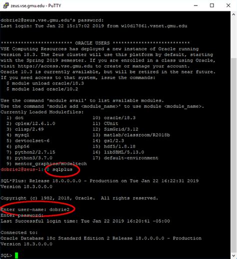 Image result for Run SQL Command Line Oracle 11G