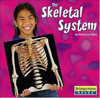 Buy The Skeletal System (Human Body Systems) Book Online at Low Prices ...