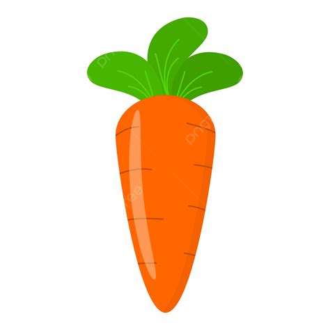 Clipart Carrots