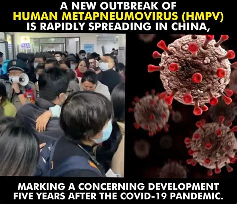 BabuNuvuBtechAh | China is experiencing a new outbreak of human ...