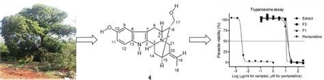In Vitro Studies on Antioxidant and Anti-Parasitic Activities of ...