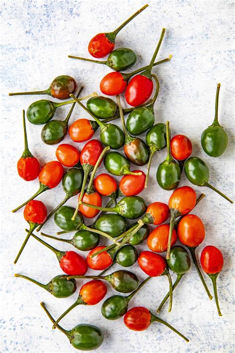 Bird's Eye Chili Peppers: All About Them - Chili Pepper Madness