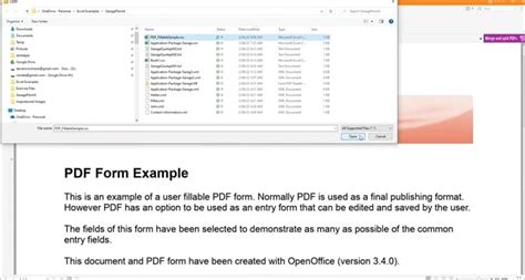 Import Data to PDF Form 的图像结果