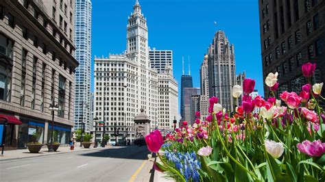 43,821 Cheap Flights to Chicago in 2026 | momondo