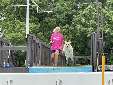 Image result for Dock Diving Dogs