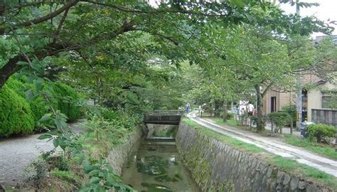 Kyoto in November 2025 : Best Places to Visit & What to Expect Weather Wise