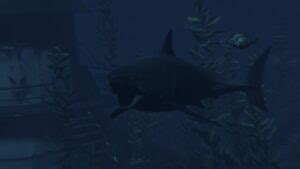 Image result for The Shark Rust Game