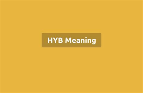Open Hyb File 的图像结果