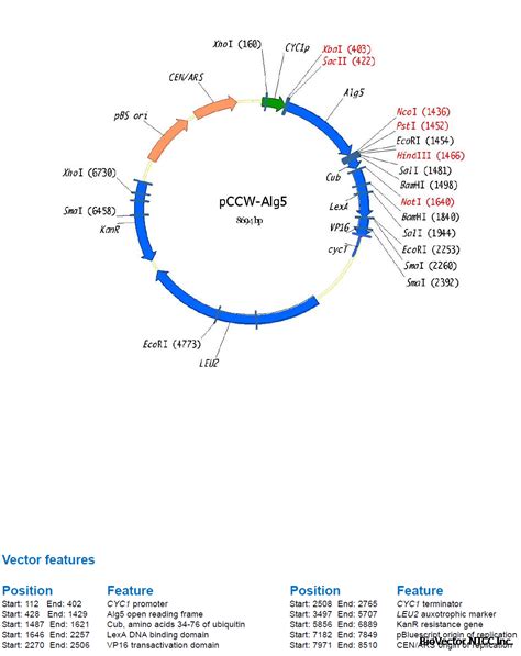 ppR3 Vector 的图像结果