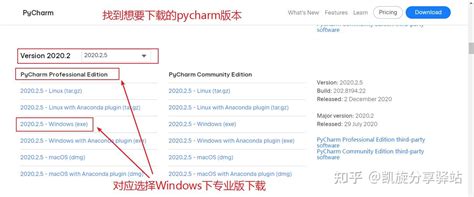 Pycharm Ide 的图像结果