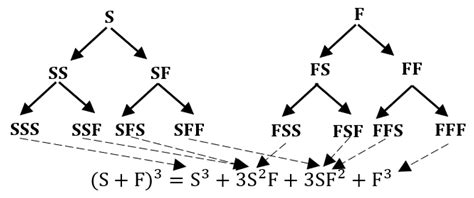 The Binomial Distribution: Historical Origin and Evolution of Its ...