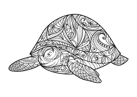 Turtle Coloring Pictures