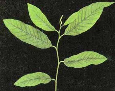 Untitled Document [www.agritech.tnau.ac.in]