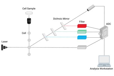 Image result for CentOS Flow Cytometry