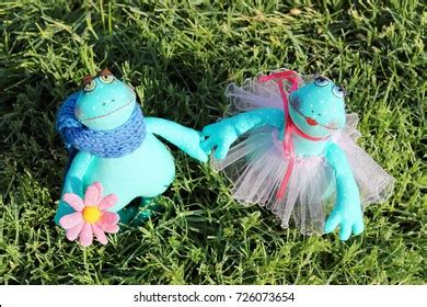 Animal Bride 的图像结果