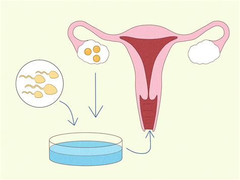 Herbs To Increase Chances Of Having Twins at James Daulton blog
