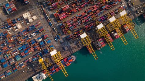 Import Export 的图像结果