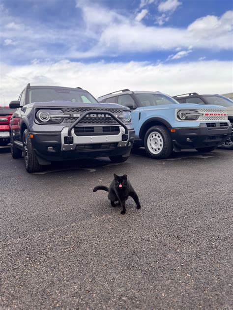 New & Used Ford Dealership In Roswell, NM | Roswell Ford