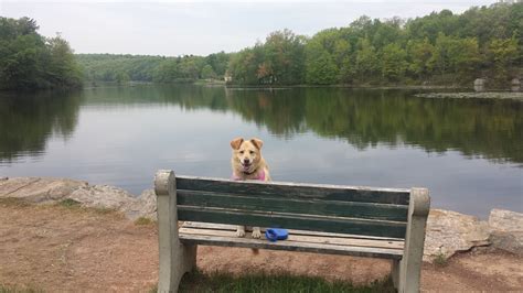 Visit Slate Hill: 2026 Travel Guide for Slate Hill, New York | Expedia