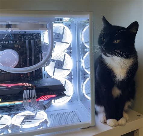 First PC Build Windows Installer 的图像结果