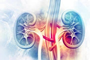 Acute & Chronic Kidney Failure / Hemodialysis - Neurospine Hospital ...