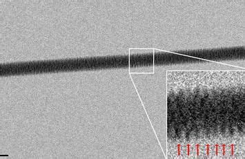 科学家利用电子显微镜首次拍到DNA照片—论文—科学网