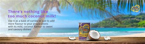 Blue Dragon Coconut Cream 250ml (Pack of 4) : Amazon.in: Grocery ...