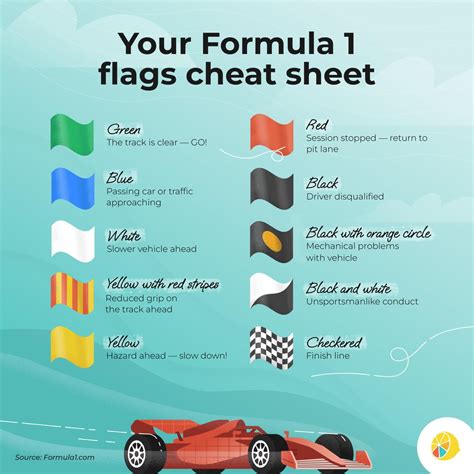 Formula 1 Flags Cheat Sheet (Credit: Lemonly) - Here's what all the ...