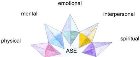 ASE Practice 的图像结果