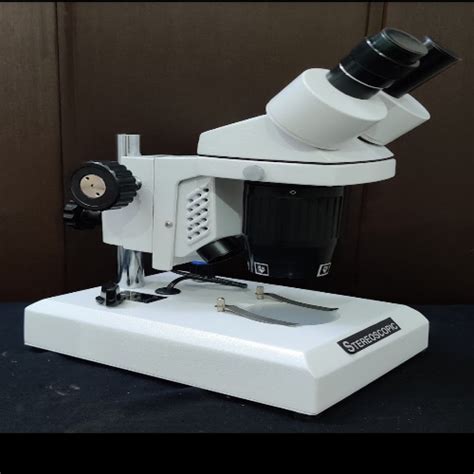 Stereo Microscope 的图像结果
