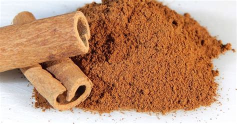 El poder de la canela: en Antiguo Egipto valía más que el oro por estos ...