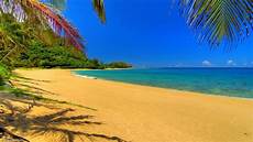 Free Wallpaper For Desktop Background by Free Summer Desktop Backgrounds Wallpaper Cave Free Wallpaper For Desktop Background