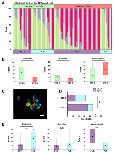 Circulating Tumor Cell Clusters Are Cloaked with Platelets and ...