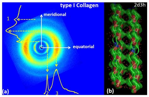 Wide Angle X-Ray Scattering to Study the Atomic Structure of Polymeric ...