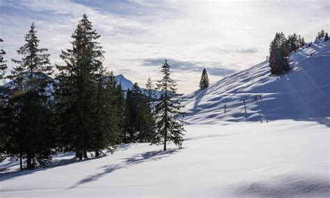 Winterwanderung: von Ebnit nach Dornbirn | Urlaub am Bodensee, Vorarlberg