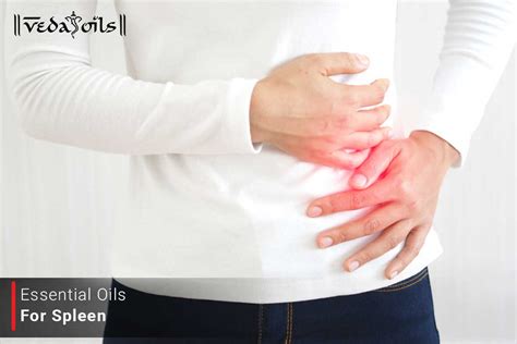 5 Best Essential Oils For Spleen - Remedies For Spleen Health – VedaOils