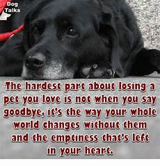 Make Your Pet A Part Of Your And Home A Few Ideas For How To Make Your Apartment Ready For A Guest by Talks The Hardest Part About Losing A Pet You Is Make Your Pet A Part Of Your And Home A Few Ideas For How To Make Your Apartment Ready For A Guest