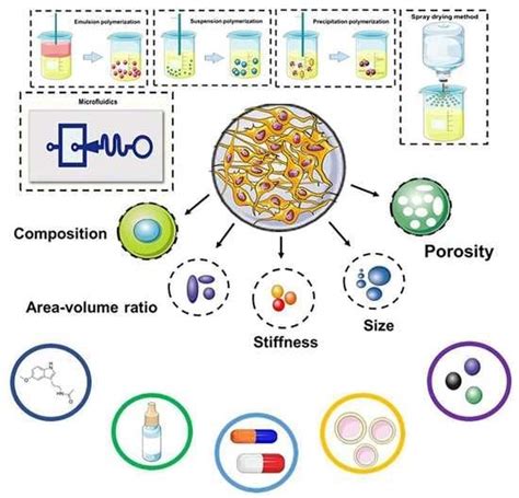 The Role of Microsphere Structures in Bottom-Up Bone Tissue Engineering