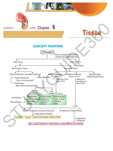NCERT Class 9 Lesson 6 in Science Notes 的图像结果