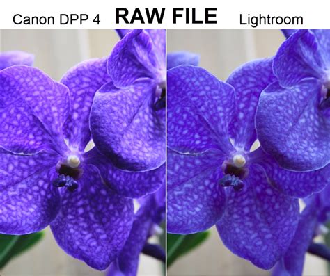 Image result for Canon DPP4 Tutorial