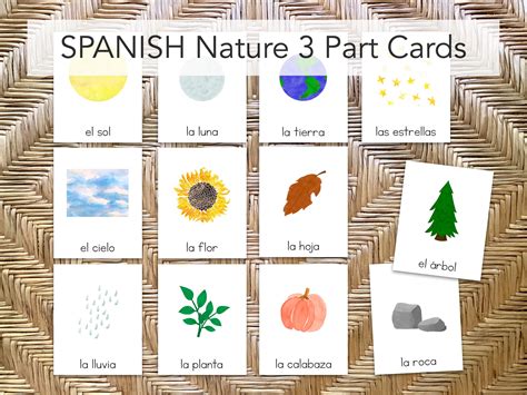 SPANISH Nature 3-part Cards: Montessori Preschool and Homeschool ...